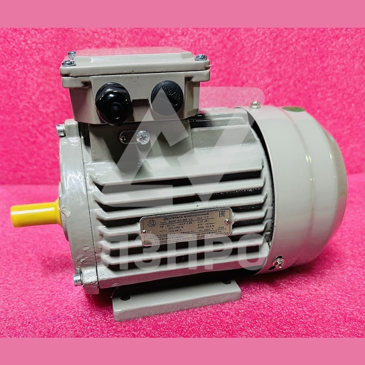 Двигатель асинхронный 0,25кВт 220/380В 870об/мин 1,7/0,98А (крепление лапы) IM1081 АИР63В6У2